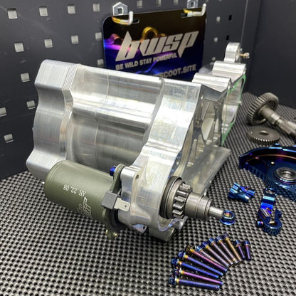 Dio 132cc - 160cc billet engine case "Eagle" Af18 Af27 Dio50 with electric starter cnc machined - 2