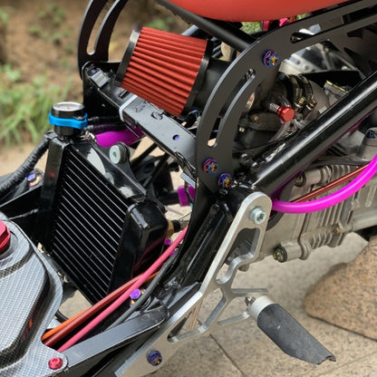 Ruckus 185cc with Gy6 water cooling engine - 11