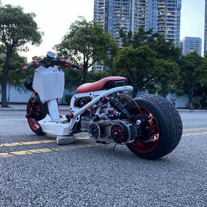 Ruckus 180cc with Gy6 water cooling engine - 5