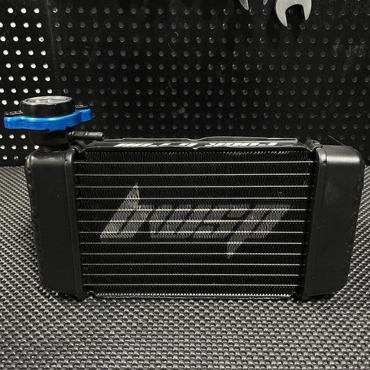 Radiator for Honda Ruckus brand BWSP