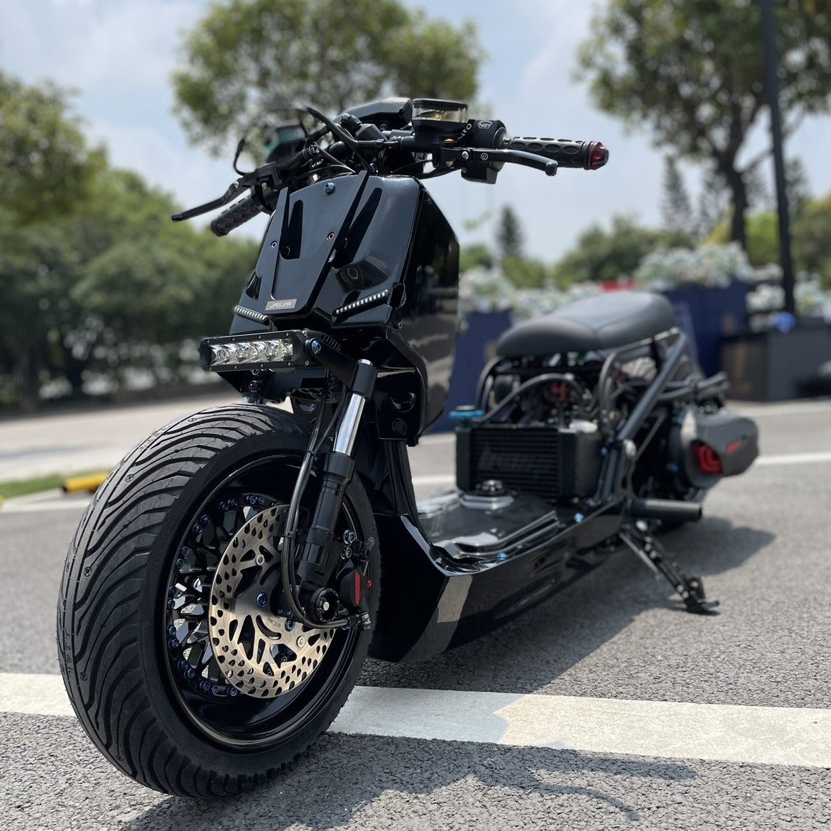 RUCKUS 310cc "JAGUAR" - 14